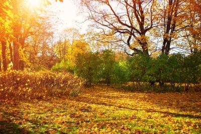 Best Places to View Fall Foliage in Westchester County